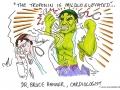 Bruce Banner