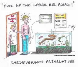 Eel cardioversion