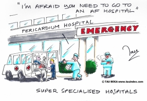 Super specialised hospitals