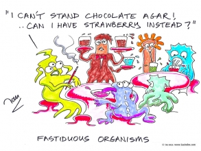 Fastidious Organisms