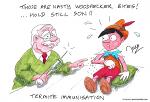 Termite immunisation