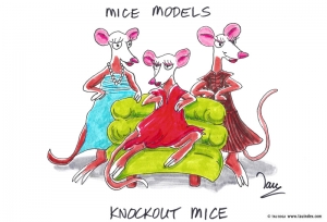Knockout mice