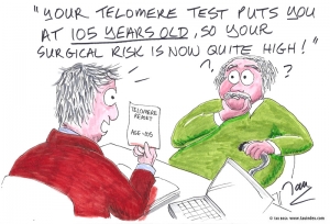Telomere test