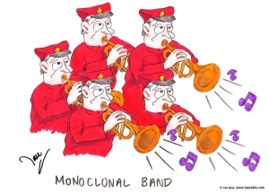 Monoclonal band