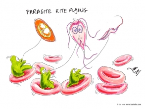 Parasite kites
